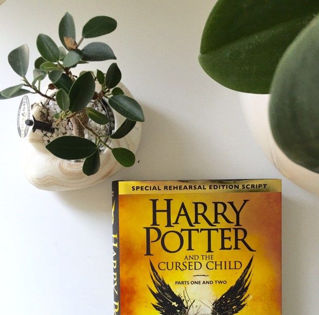 Harry Potter jaquette